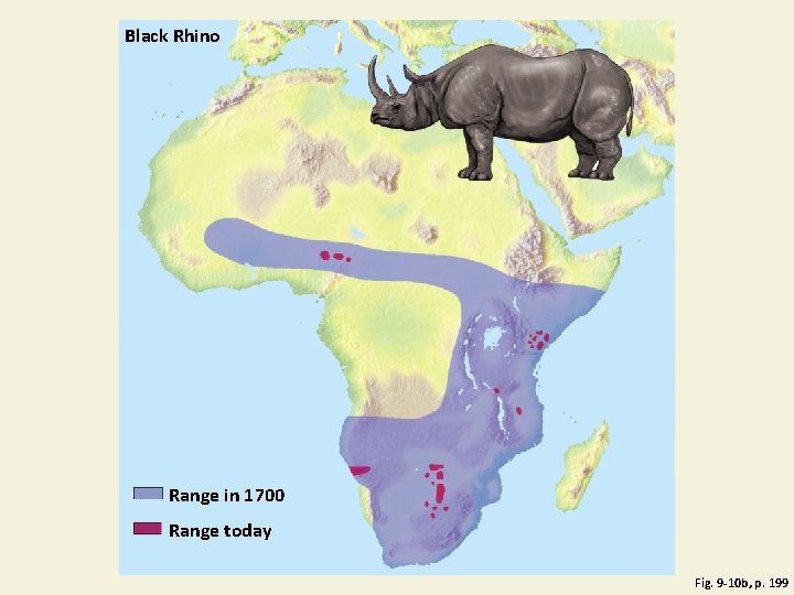 Black Rhino Range in 1700 Range today Fig. 9 -10 b, p. 199 