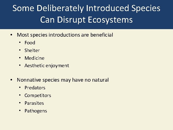 Some Deliberately Introduced Species Can Disrupt Ecosystems • Most species introductions are beneficial •