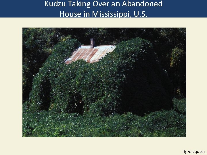 Kudzu Taking Over an Abandoned House in Mississippi, U. S. Fig. 9 -12, p.