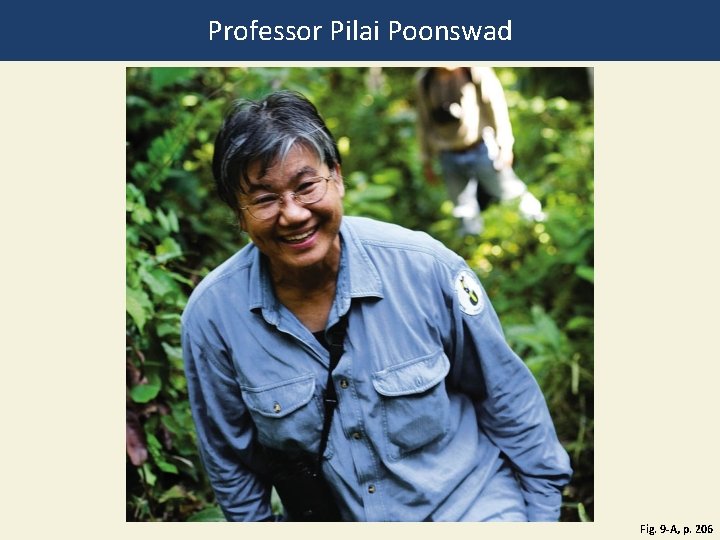 Professor Pilai Poonswad Fig. 9 -A, p. 206 