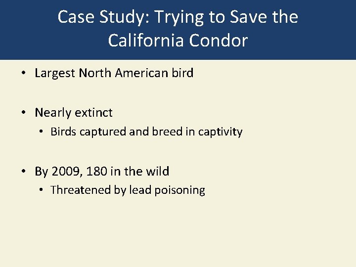 Case Study: Trying to Save the California Condor • Largest North American bird •