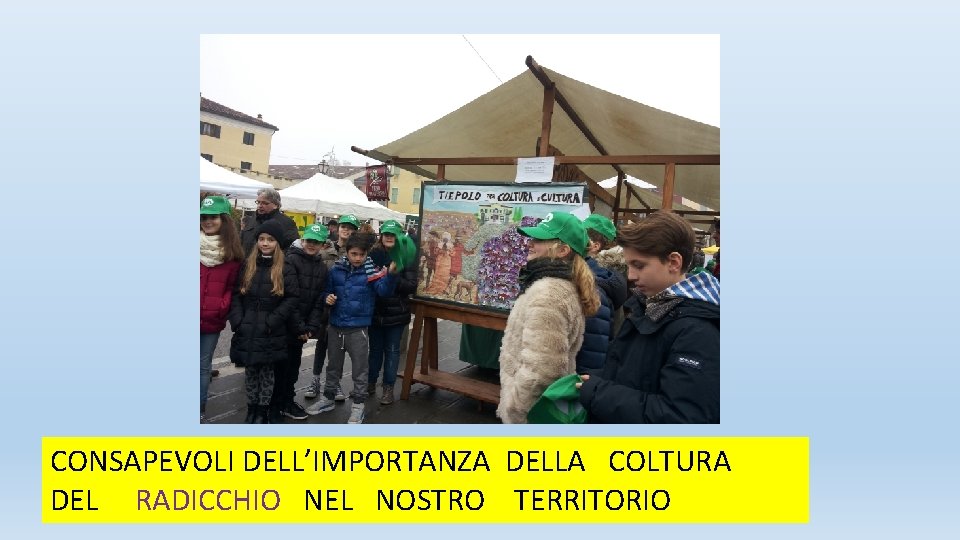 CONSAPEVOLI DELL’IMPORTANZA DELLA COLTURA DEL RADICCHIO NEL NOSTRO TERRITORIO 