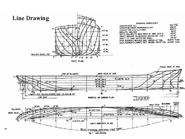 Line Drawing 