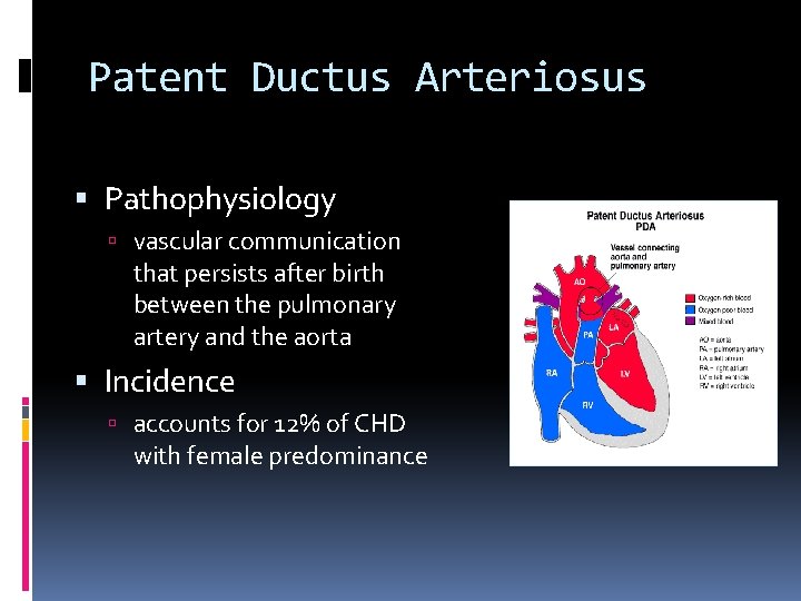 Patent Ductus Arteriosus Pathophysiology vascular communication that persists after birth between the pulmonary artery