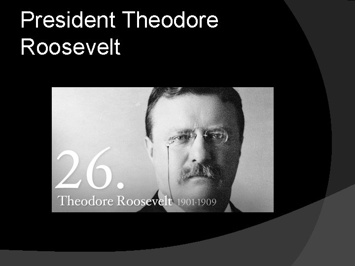 President Theodore Roosevelt 