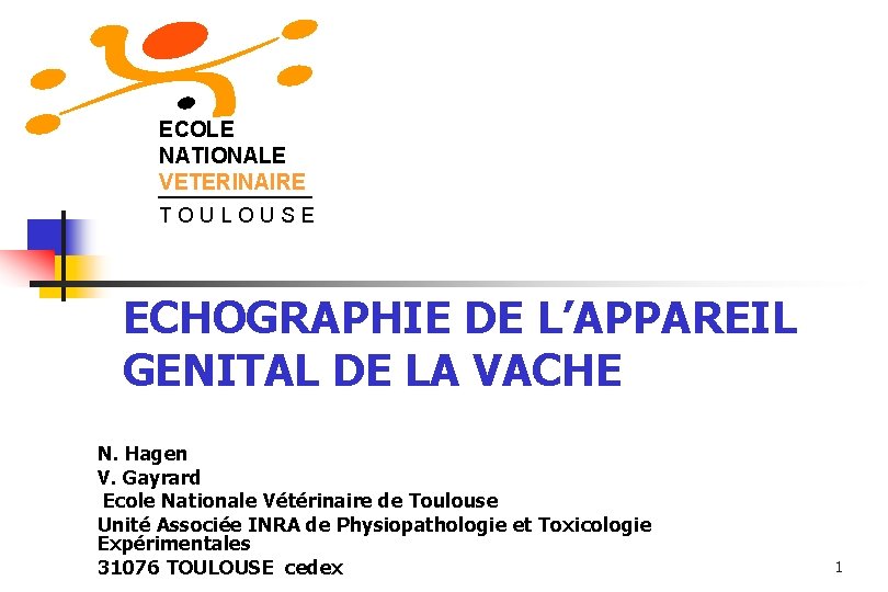 ECOLE NATIONALE VETERINAIRE TOULOUSE ECHOGRAPHIE DE L’APPAREIL GENITAL DE LA VACHE N. Hagen V.