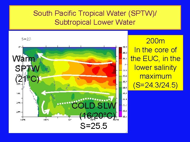South Pacific Tropical Water (SPTW)/ Subtropical Lower Water 200 m In the core of