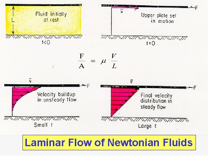 Laminar Flow of Newtonian Fluids 