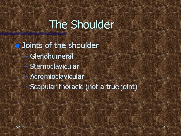 The Shoulder n Joints of the shoulder – Glenohumeral – Sternoclavicular – Acromioclavicular –
