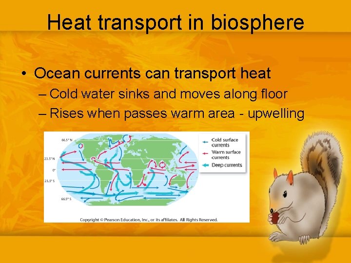 Heat transport in biosphere • Ocean currents can transport heat – Cold water sinks