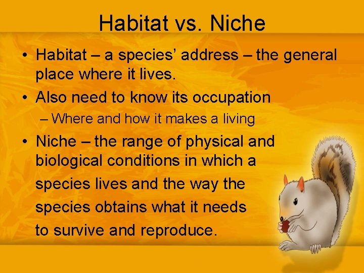 Habitat vs. Niche • Habitat – a species’ address – the general place where