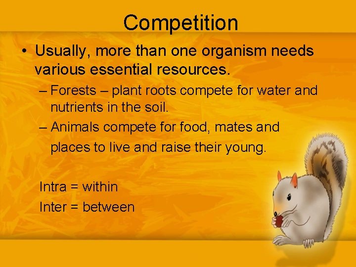 Competition • Usually, more than one organism needs various essential resources. – Forests –