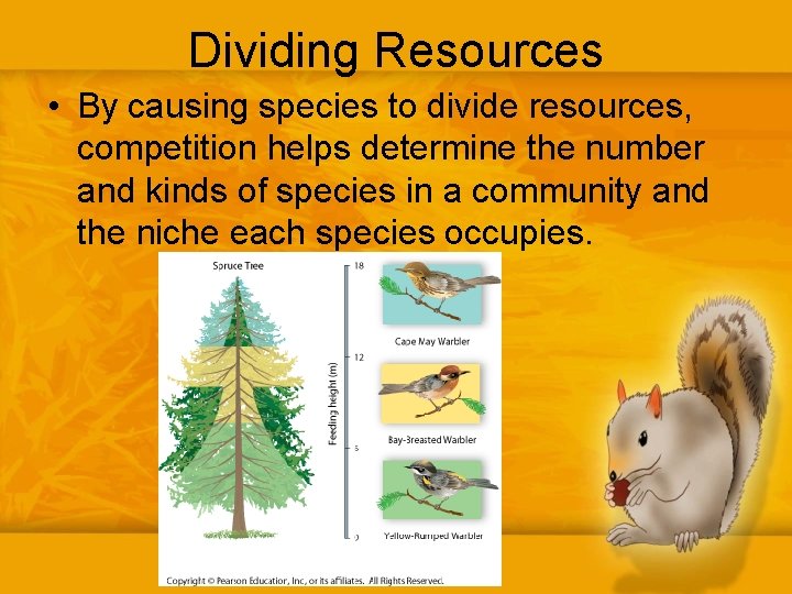 Dividing Resources • By causing species to divide resources, competition helps determine the number