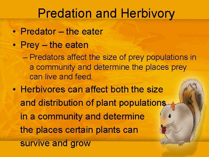 Predation and Herbivory • Predator – the eater • Prey – the eaten –