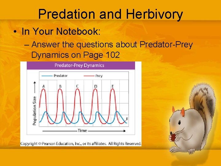 Predation and Herbivory • In Your Notebook: – Answer the questions about Predator-Prey Dynamics