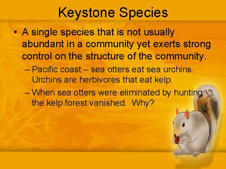 Keystone Species • A single species that is not usually abundant in a community