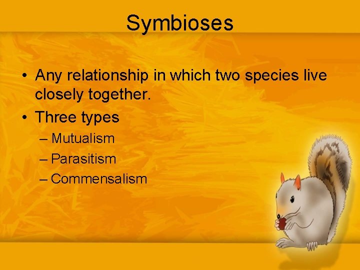 Symbioses • Any relationship in which two species live closely together. • Three types