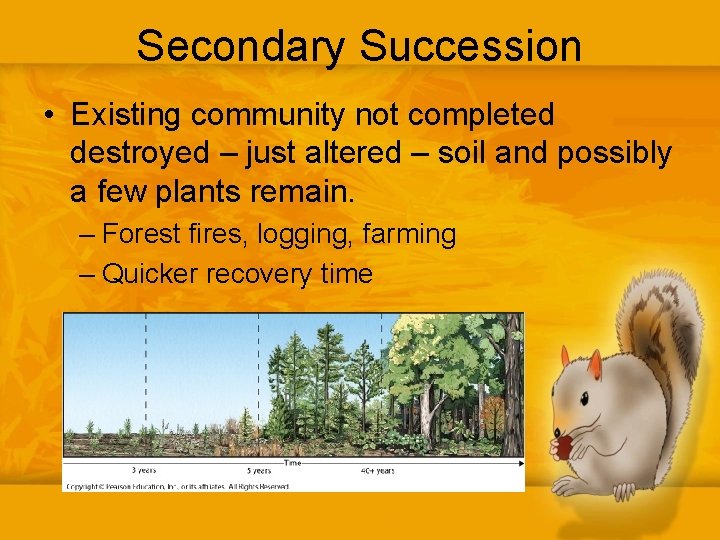 Secondary Succession • Existing community not completed destroyed – just altered – soil and