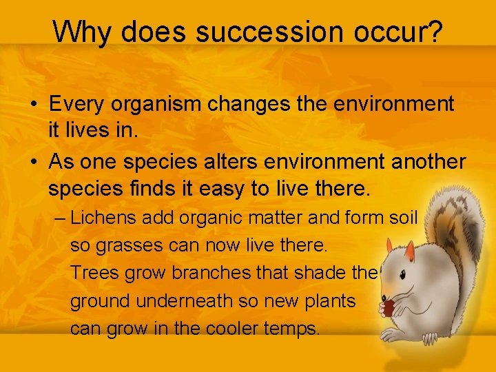 Why does succession occur? • Every organism changes the environment it lives in. •