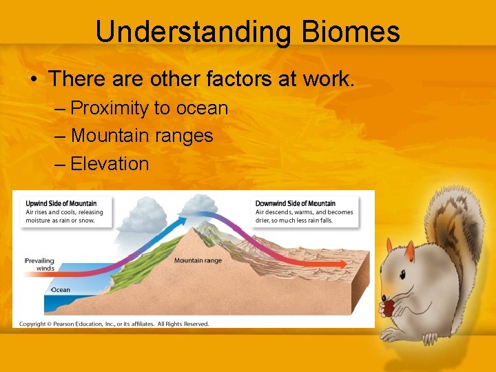 Understanding Biomes • There are other factors at work. – Proximity to ocean –