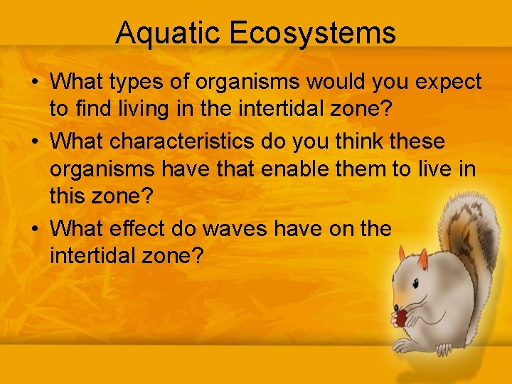 Aquatic Ecosystems • What types of organisms would you expect to find living in