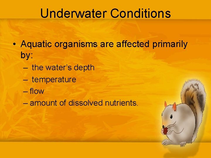 Underwater Conditions • Aquatic organisms are affected primarily by: – the water’s depth –