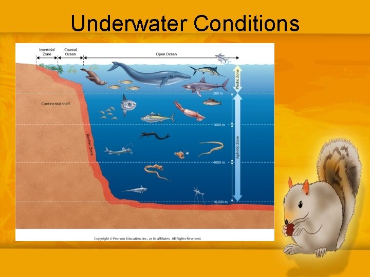 Underwater Conditions 