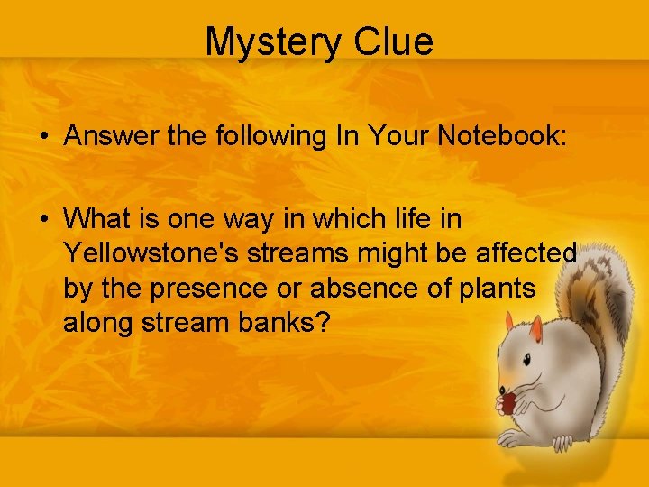 Mystery Clue • Answer the following In Your Notebook: • What is one way