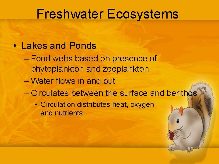 Freshwater Ecosystems • Lakes and Ponds – Food webs based on presence of phytoplankton