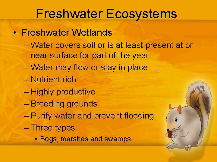 Freshwater Ecosystems • Freshwater Wetlands – Water covers soil or is at least present