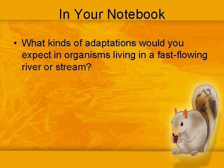 In Your Notebook • What kinds of adaptations would you expect in organisms living