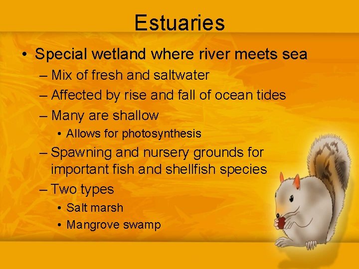 Estuaries • Special wetland where river meets sea – Mix of fresh and saltwater