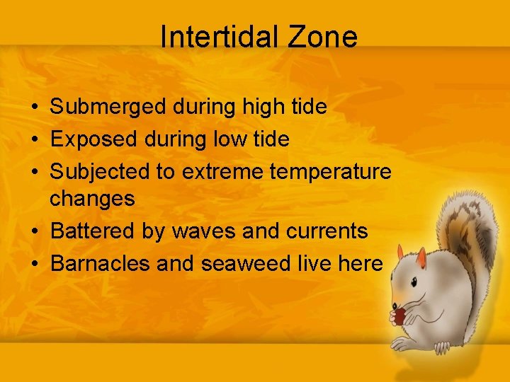 Intertidal Zone • Submerged during high tide • Exposed during low tide • Subjected