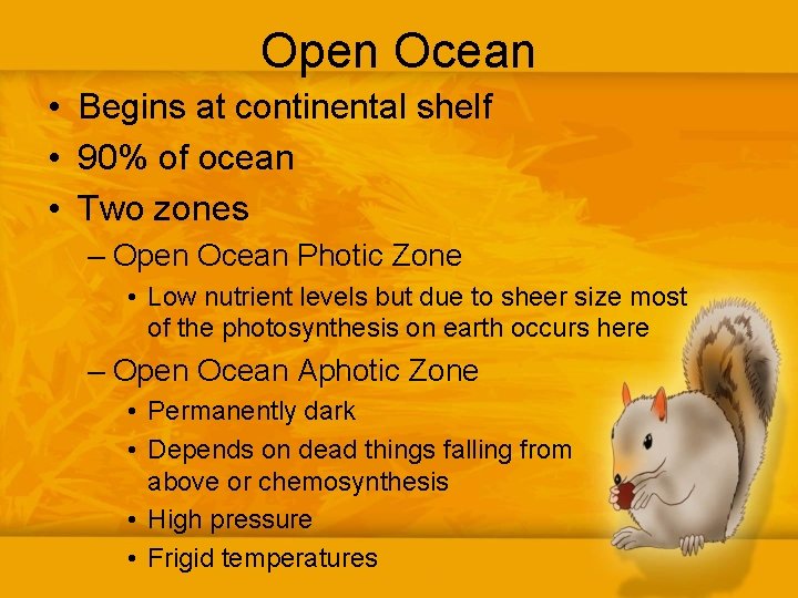 Open Ocean • Begins at continental shelf • 90% of ocean • Two zones