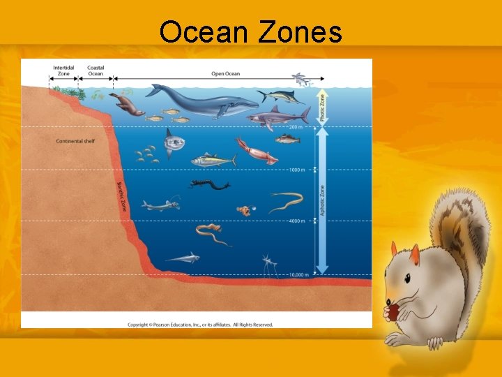 Ocean Zones 