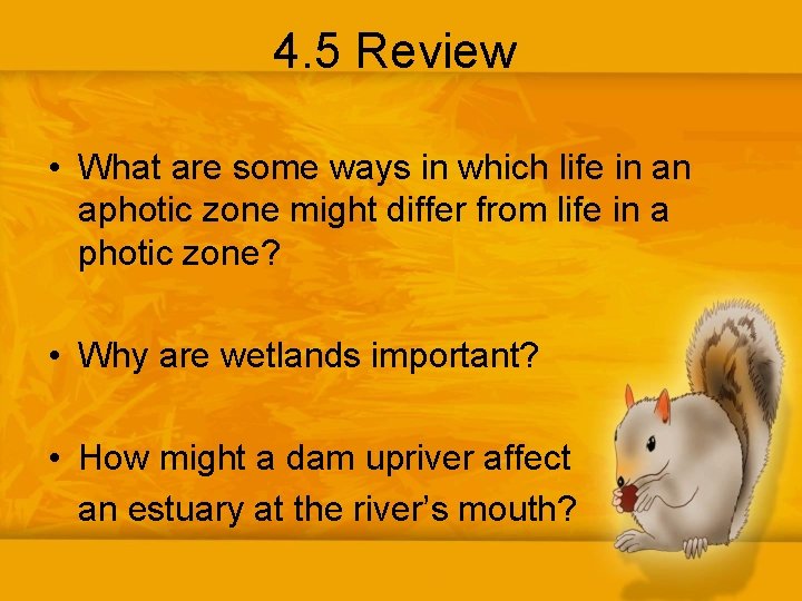 4. 5 Review • What are some ways in which life in an aphotic