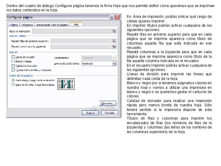 Dentro del cuadro de diálogo Configurar página tenemos la ficha Hoja que nos permite