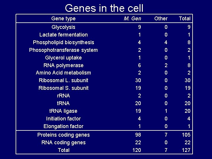 Genes in the cell Gene type M. Gen Other Total Glycolysis Lactate fermentation Phospholipid