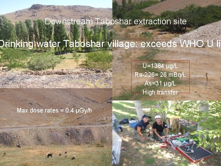 Downstream Taboshar extraction site Drinking water Taboshar village: exceeds WHO U lim U=1384 µg/L