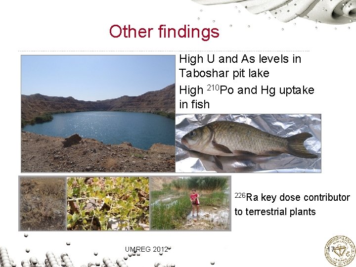 Other findings High U and As levels in Taboshar pit lake High 210 Po