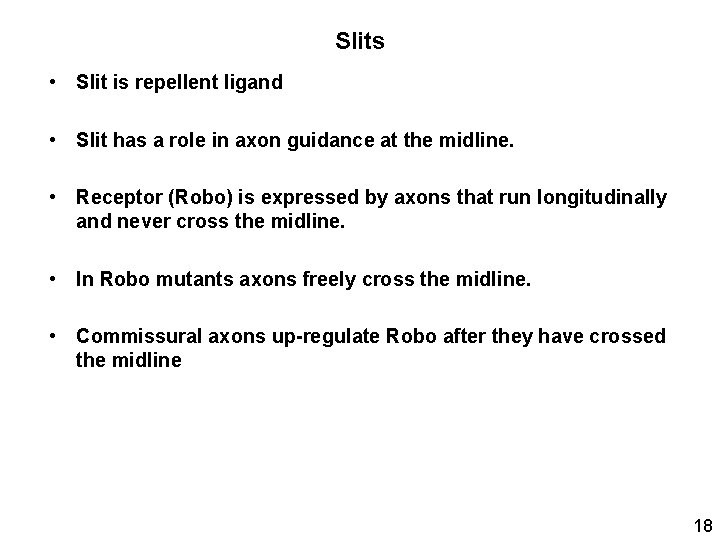 Slits • Slit is repellent ligand • Slit has a role in axon guidance