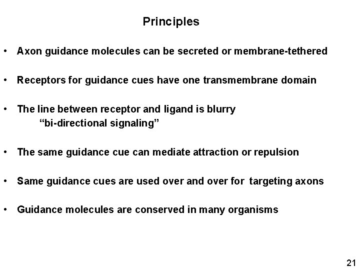 Principles • Axon guidance molecules can be secreted or membrane-tethered • Receptors for guidance