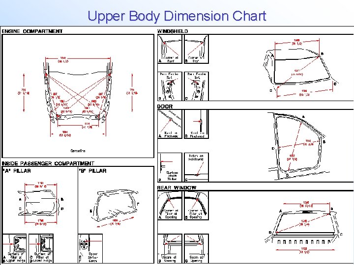 Upper Body Dimension Chart 