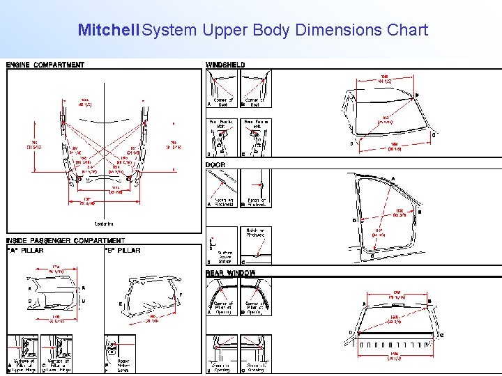 Mitchell System Upper Body Dimensions Chart 