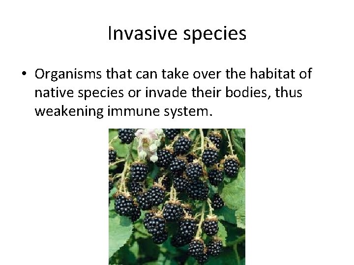 Invasive species • Organisms that can take over the habitat of native species or