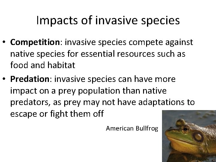 Impacts of invasive species • Competition: invasive species compete against native species for essential