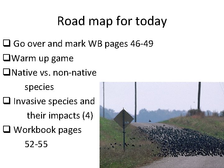 Road map for today q Go over and mark WB pages 46 -49 q.