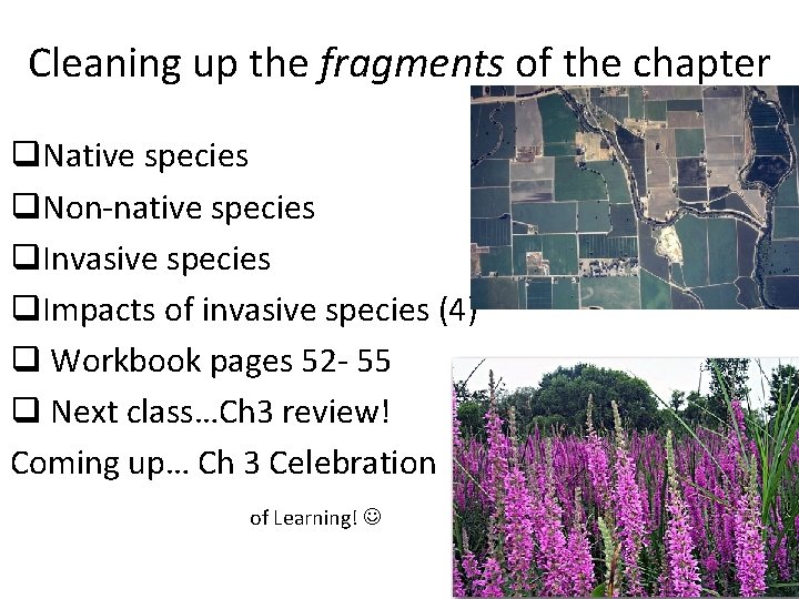 Cleaning up the fragments of the chapter q. Native species q. Non-native species q.