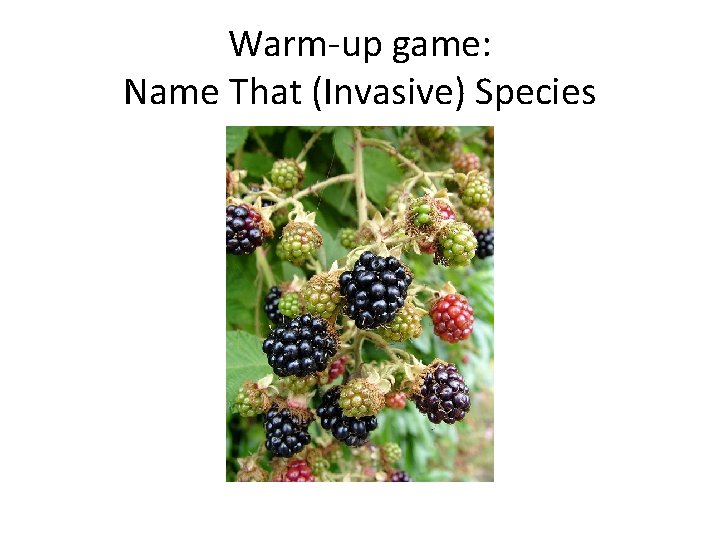 Warm-up game: Name That (Invasive) Species 