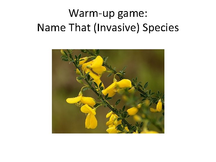 Warm-up game: Name That (Invasive) Species 